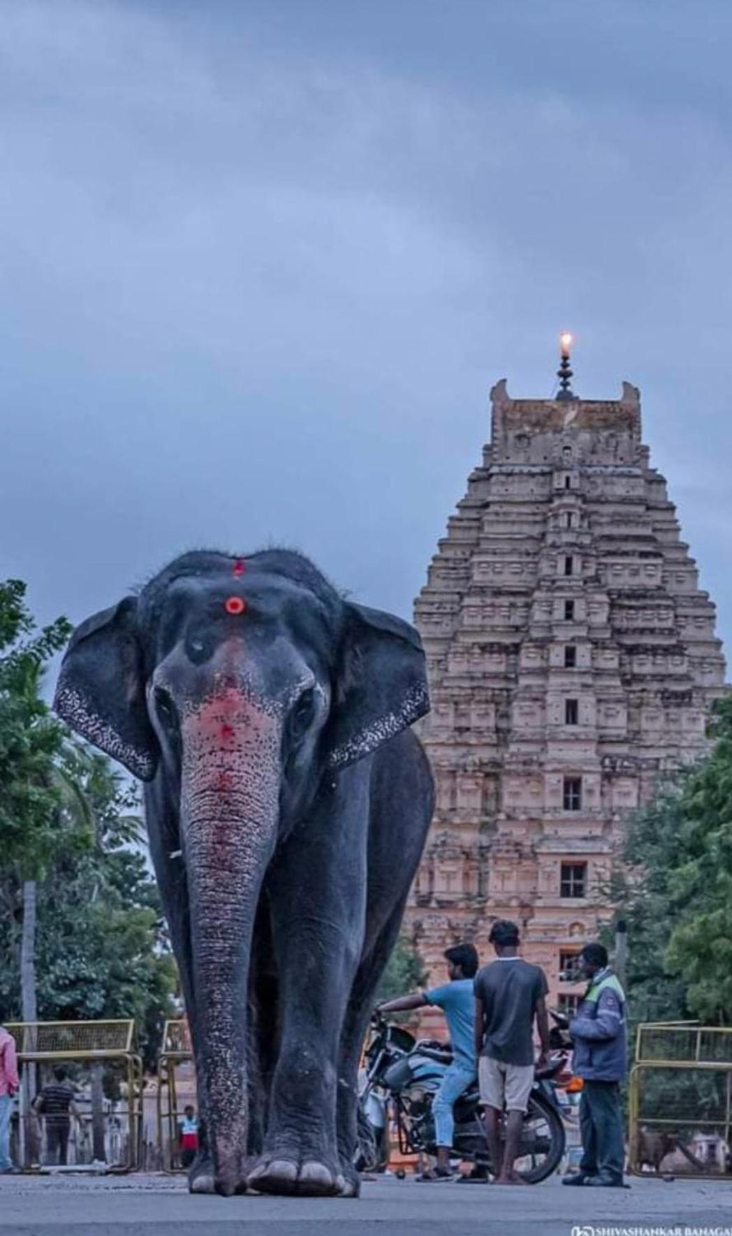 Sai Ram Home Stay Hampi Bagian luar foto